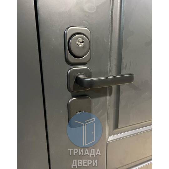 одностворчатая уличная дверь с боковой и верхней вставкой - фото 1