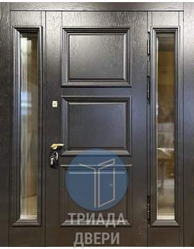 одностворчатая с боковыми вставками дверь мдф из стали