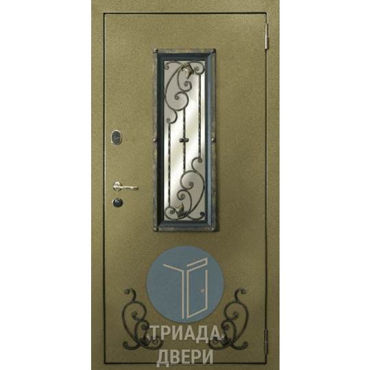 наружная дверь с порошковым напылением и ковкой