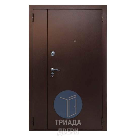 металлическая двустворчатая дверь с порошковым окрасом