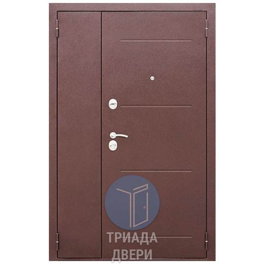 входная двустворчатая дверь с внешним окрасом порошковое напыление
