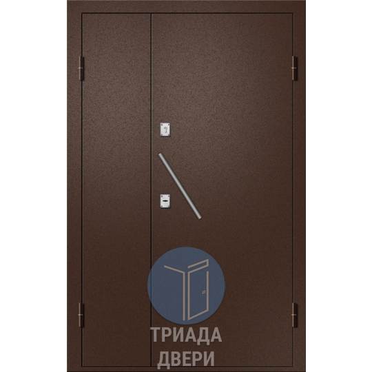 недорогая тамбурная дверь с порошковым напылением