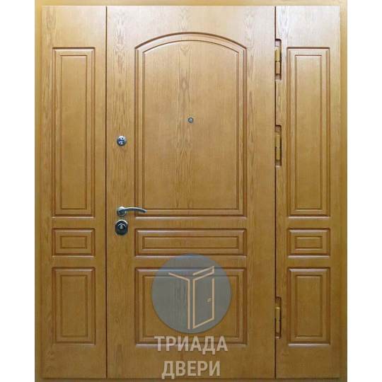 парадная стальная дверь в тамбур