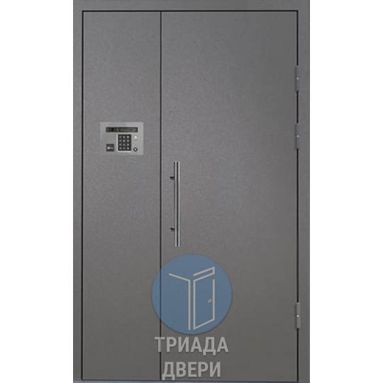 недорогая тамбурная дверь с домофоном