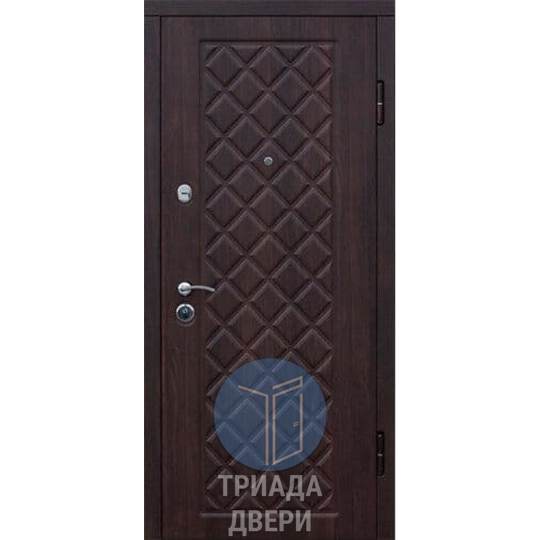 одностворчатая наружная дверь с отделкой винорит