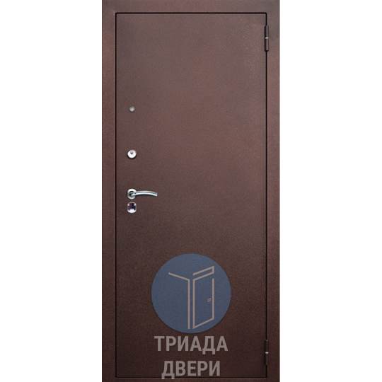 металлическая недорогая дверь с зеркалом и порошковым напылением