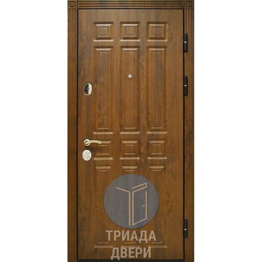 металлическая с утеплителем дверь и отделкой винорит