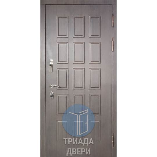 одностворчатая дверь с зеркалом в квартиру