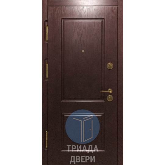 одностворчатая дверь с темным мдф